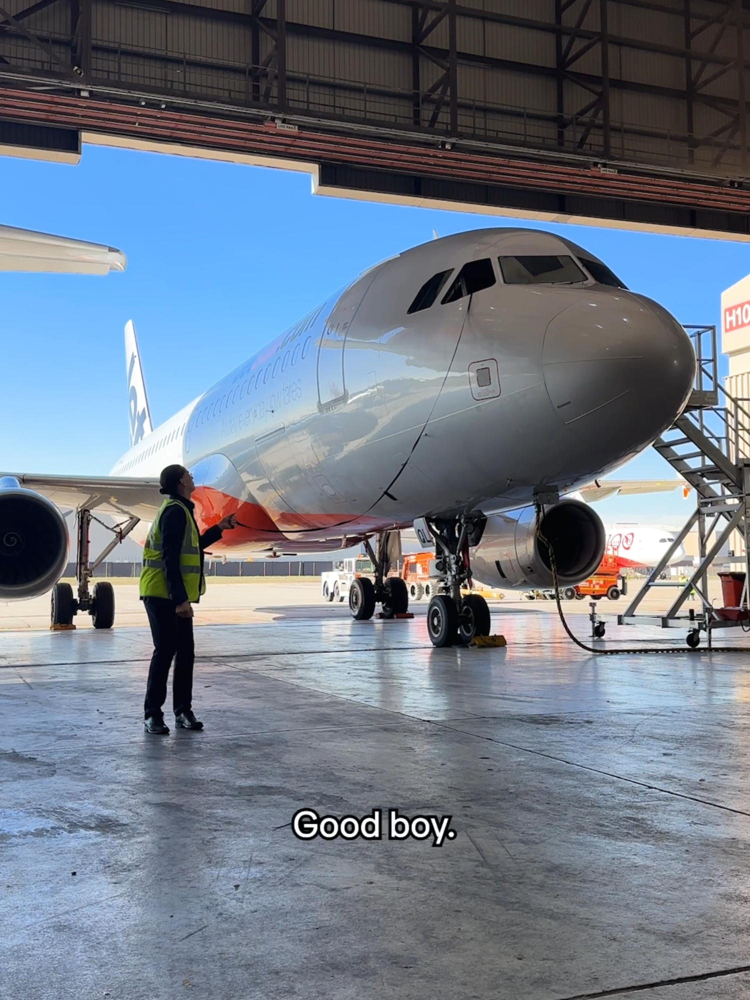 all our planes are Good Boy certified