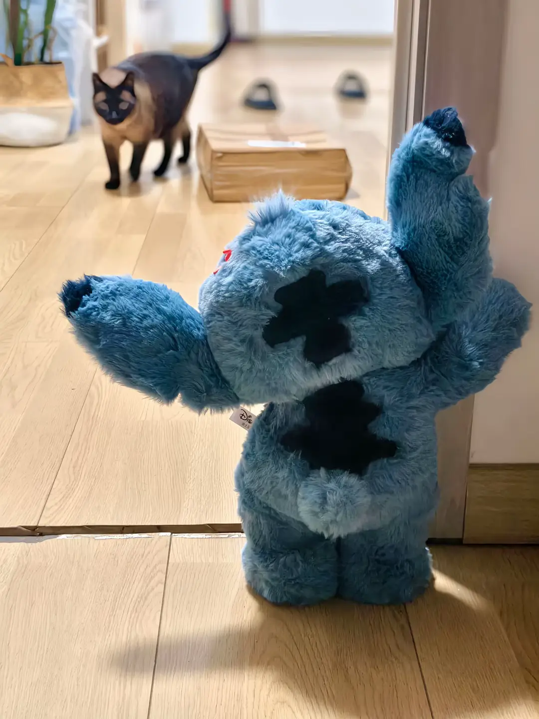 Anh oi em thích con chó, à nhầm con Stitch nàyyy