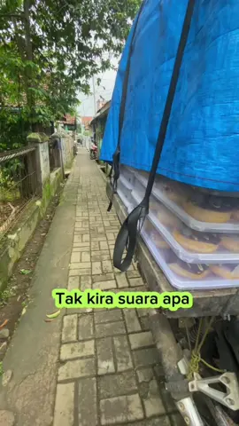 Senyum itu indah, kalo gak mau senyum buatlah orang tersenyum #pejuangrupiah #berbagiituindah #fyp #mangdonat 