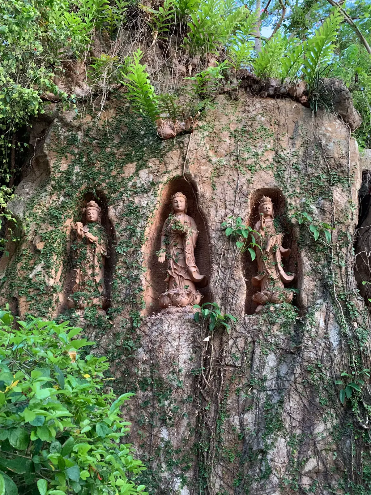 #fyp #angiang #chuahang #travel #travelvietnam #dulichvietnam #chaudoc #pagoda 