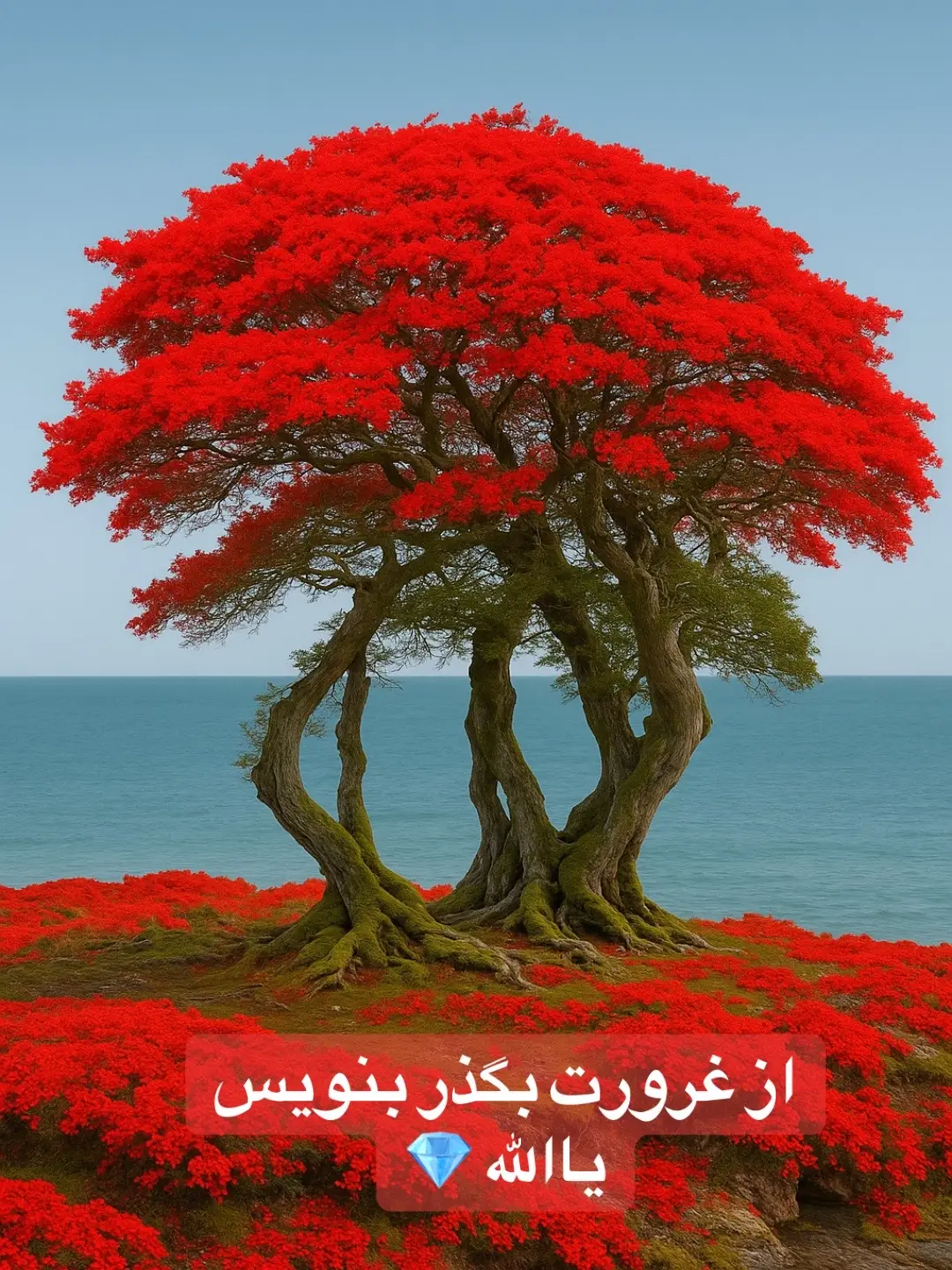 @🙌پرنده مهاجر🙌  #foryoupage❤️❤️ #viralvideos #reels #creatorsearchinsights #islamic_video #foryoupagе #vira #islamic_question_answer 