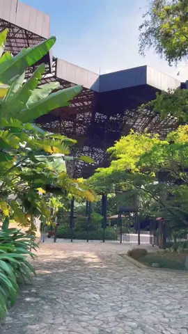 Walking Jardin Botanico Medellin Colombia #jardinbotanicodebogota #colombia #colombiana #colombiano #colombianos #colombianosenelexterior #colombianosenusa #colombianosenespaña #colombianos🇨🇴 #colombianosenaustralia