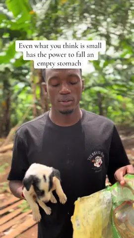 LINK IN BIO #dog #dog #tiktoktips #goviral #trendingvideo #tik_tok 