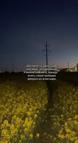 #vibe #aesthetics #atmosphere #loveyou #любовь❤ #люблю #отношения #loved468 #поле 