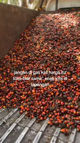 😅🙏#fyp #fyptiktok #fypシ゚viral #brondolansawet #brondolan 