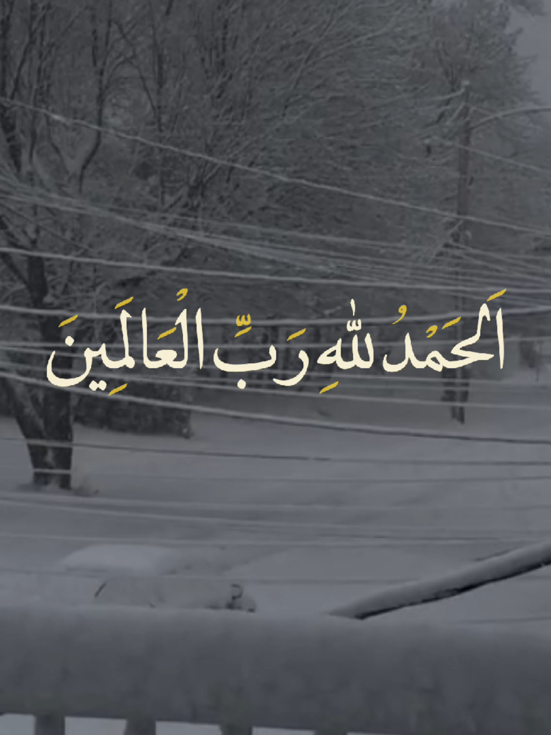 اَلحَمْدُ للهِ رَبِّ الْعَالَمِينَ 🤍. #دعاء_العهد #محسن_فرهمند #دعاء_التوسل  #الحاج_مهدي_سماواتي  #امام_رضا  #viral  #اكسبلور 