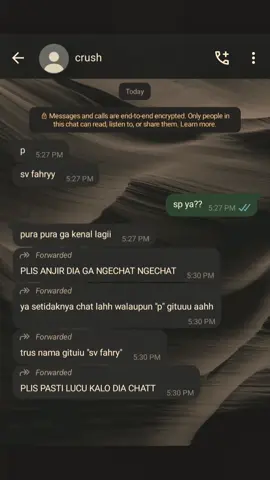 aduhhh dichatt lagii #CapCut #xybca #4u #fyppppppppppppppppppppppp #foryou #chat #crush 