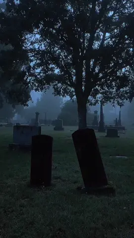 Welcome to your final resting place.🖤 #sad #ambient #silence #atmospheric #forgotten #sad #spooky #fear #beauty #goth #gothic #cemetery #oldcemetery #graveyard #tombstone 