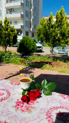 #موسيقى #فضل_شاكر #الا #وانا معاك#قهوتي_معشوقتي #تصويري #اعادة_النشر🔃 #اكسبلورexplore #اكسبلور #كلس #تركيا🇹🇷 #☕️ #🕊️ 