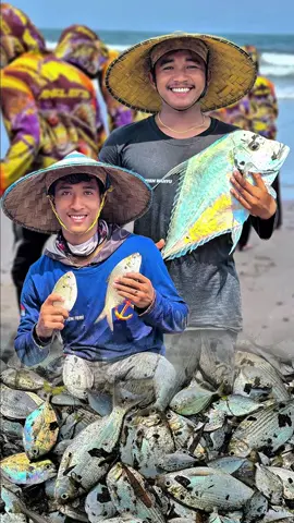 Serunya tarik jaring hari ini #edikhannn #gengtiktok 