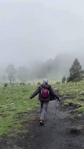#fyp #fypage #pendakigunung #pendakiindonesia #hikingadventures #Hiking #pendaki #fypシ゚ #fypp #lawumountain #4u #fypppppppppppppp 
