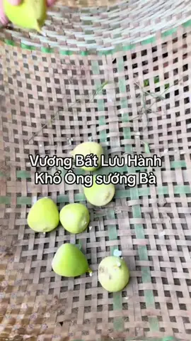 #tầng4mườngthanh #trauco #thaoduoc 