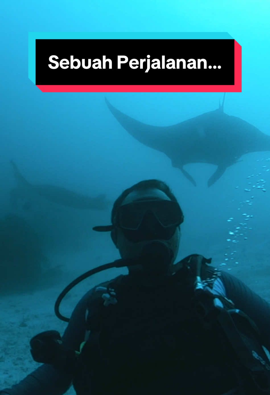 Tentang sebuah perjalanan.. 