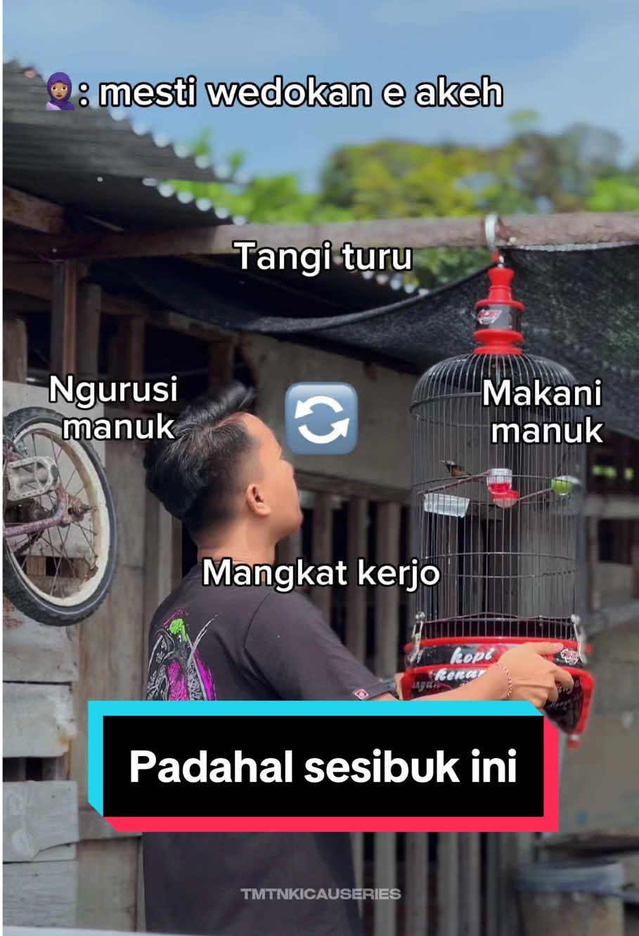Padahal sesibuk ini tapi diduga yang tidak-tidak, bener gak bos? 😌 #tmtncatalog #tmtnkicauseries #kicaumania #kolibri #kolibrininja #kolibrininjaindonesia #fypシ゚ 