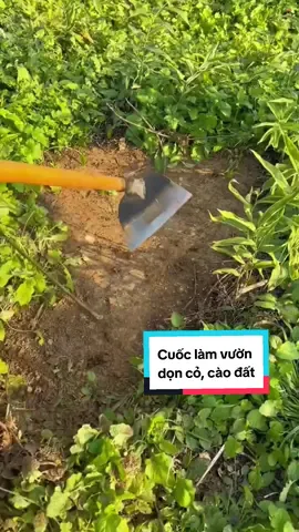 Cuốc làm vườn, sạc cỏ, phát cỏ,... #lamvuon #cuocdat  #cuoc #sacco #phatco #xuhuong #catco