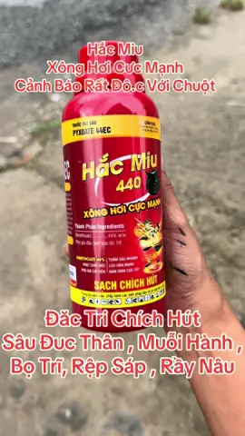 #vtnnthanhtan2 #travinh84 #soctrang83 #kiengiang #dongnai #tayninh #soctrang #longan #angiang67 #binhthuan #xuhuong #xuhuong #nhatrangbeach #tiengiang63 #nongnghiep 