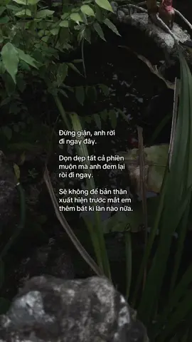 …#tamtrang #story 