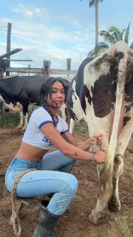 Aos som dos pássaros áudio natural 😍🙌🏼
