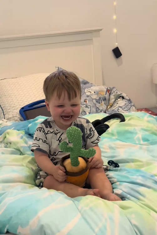 The cactus toy makes the baby laugh happily.#cute #baby #smile #🥰🥰🥰 