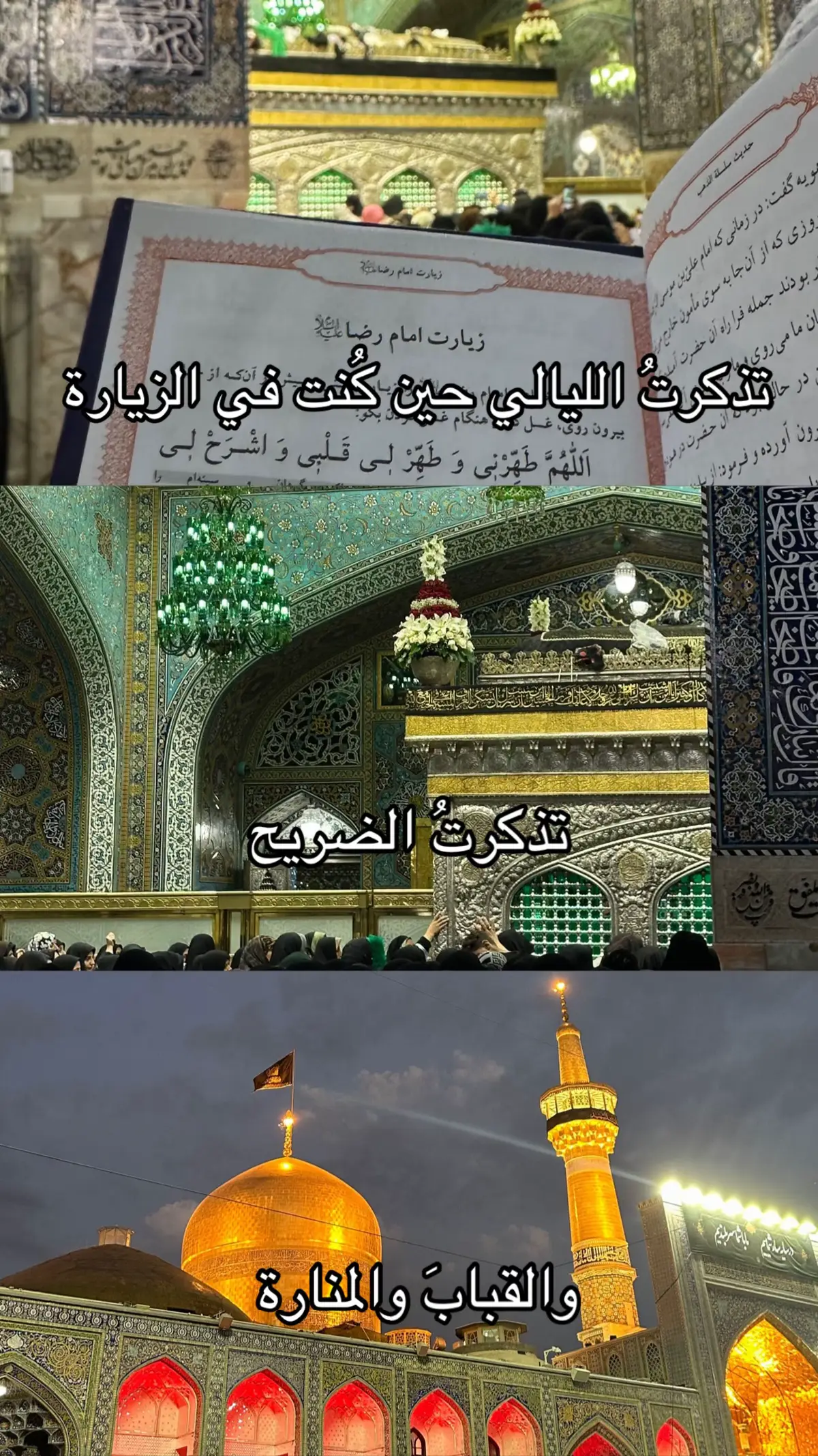 #انيس_النفوس #الامام_الرضا_عليه_السلام #ايران🇮🇷 #مشهد #explore #رضا_جان #fyp 