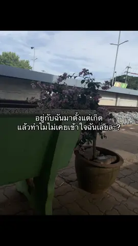 😕#เธรด #เหนื่อย #พ่อแม่ 