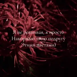 #CapCut #лукорис #паучьяЛилия #цветы #ревность #рек #рекомендации 