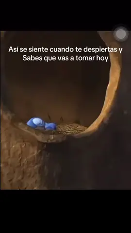 Así hasta ganas de levantarte dan #fypシ゚ #paratiiiiiiiiiiiiiiiiiiiiiiiiiiiiiii #beviernes #borrachas #after #viralvideos 