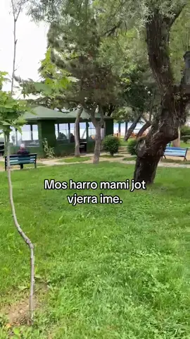 mir