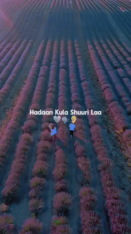 hadaan kula shoori laa 🩷 🗣️👂 Jaceel Kuu Sheegi Laa 🫀🤍🗣️#foryoupage❤️❤️ #fyp #somalilyrics🌺😕💎 #foryoupage #veiws #vir 