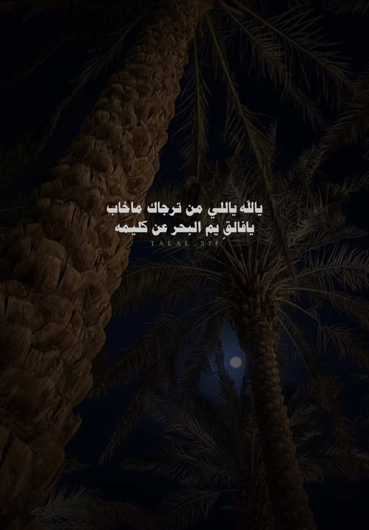 يالله ياللي من ترجاك ماخاب #نياف_تركي #بدون_موسيقى #اكسبلور #شعر #شيلات #fyp #explore 