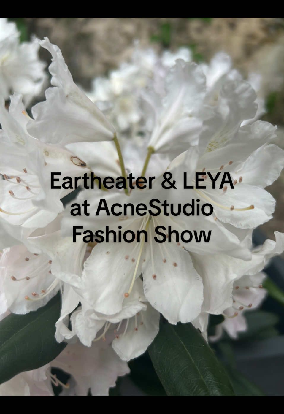 Acne Studio Spring/Summer 2023 Singer: @iameartheater  Musicians: LEYA #acnestudios #fyp #eartheater #angel #fashion 