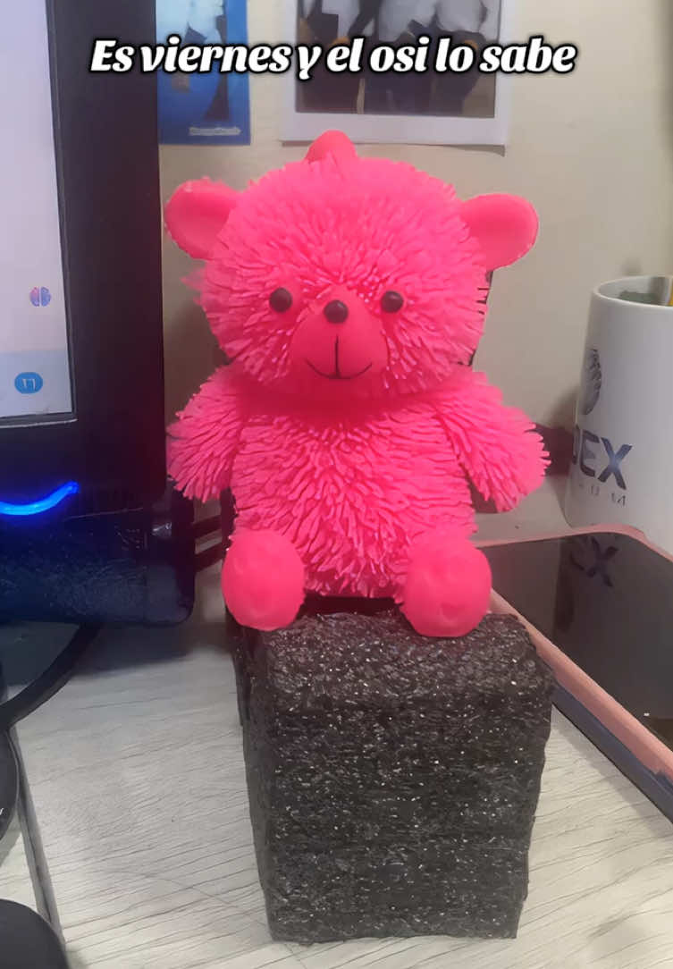 💖🤣 Es viernes y mi osi lo sabe #oso #tiktok #humor 