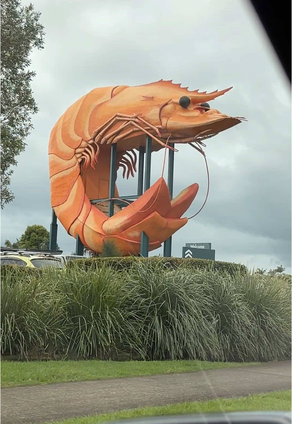 Okay but who decided to put a giant prawn in a bunnings parking lot?…I need to know 😅 #thebigprawn #traveltiktok #sydneytrip #thebigbanana #randomaf #bunnings #australia #roadtrip #nsw