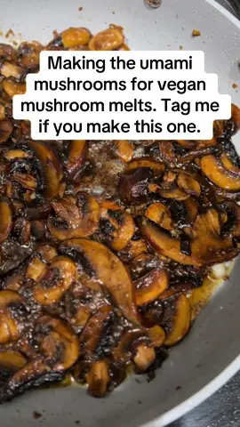 #VeganGrilledCheese #UmamiMushrooms #VeganSandwich #PlantBasedComfortFood #MeltyGoodness #GrilledCheeseGlowUp #FoodieFave #SavoryVegan #NextLevelLunch #ViralEats #