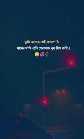 তুমি আমার সেই প্রজাপতি, যাকে আমি প্রতি সেকেন্ডে খুব মিস করি..! 😊💞🥀#foryou #bairal @TikTok Bangladesh 