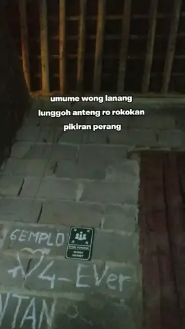 #masukberanda #xyzbca #foryoupage #fyppppppppppppppppppppppp