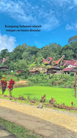 #Fyp#torajautara#kampunghalaman
