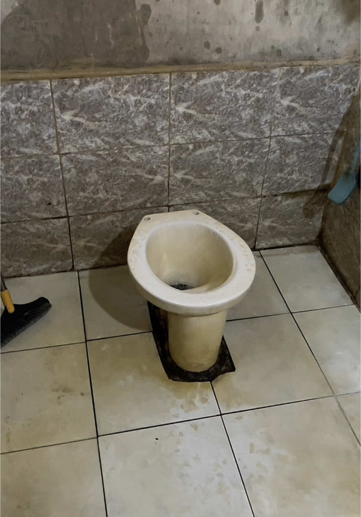 this is your sign #shineprotoiletcleaner #toiletcleaner #fyppppppppppppppppppppppp 