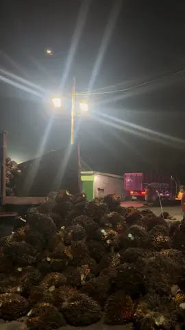 #Semangat Pejuang Keluarga#riauincomシ゚viral#laguminang#storykulisawit🌴👷#sawittttttttttttttttttfyppppp#malam#kerjapagipulangmalam💪💪💪#@brindeltiktoker @user9688676285441#tetapsemangat😁😁😁💪💪 
