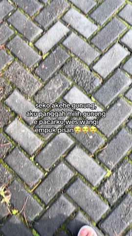 mosok dikei pewangi😔#SuremLoIki 