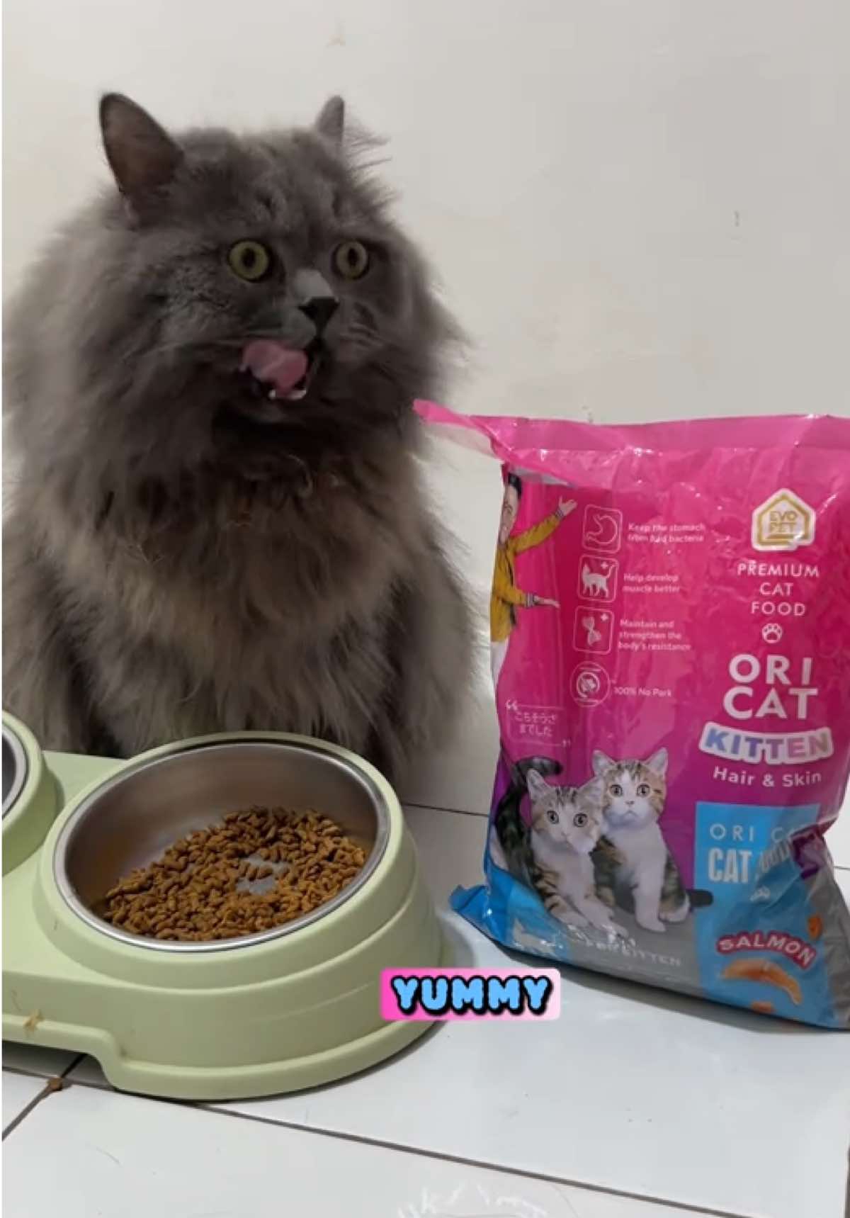 dryfood khusus anak kucing nih guys buat kalian yang lagi cari dryfood buat anak kucing  ini sih solusi yang tepat, kasih aja oricat khusus untuk kitten ini 😻 yang mau check out tinggal ke keranjang aja ya, udah aku sematkan 😽👌🏻  #oricat #oricatdryfood #oricatkitten #makanananakkucing #dryfoodanakkucing #shopmaster #oricatfreshpack #promoguncang66 #rekomendasimakanananakkucing #rekomendasidryfoodanakkucing #promogajian  #dilarangmencurivideo⚠️⚠️ 