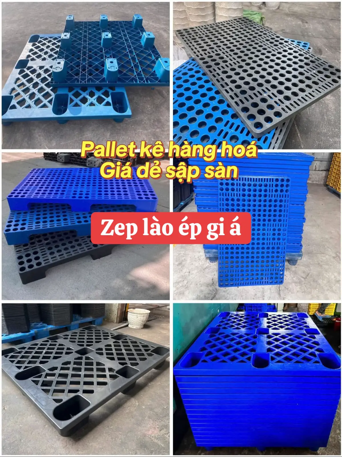 #pallet #pallet_nhựa #pallet_cốc #palletchongtran #palletlotsan #palletkholanh #palletlotnem 