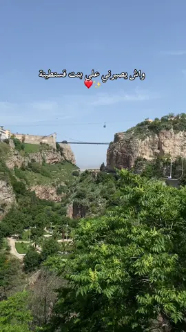 #constantine#constantine25 #قسنطينة #قسنطينة_قسنطينية_حاجب_وعوينة #قسنطينة_25🖤💚  #fyp #fypシ゚#fypp #fyppp #fypシ゚viral🖤tiktok #treanding #viralditiktok#explore #foryoupage #foryoupage❤️❤️ #foru #exploremore #شعب_الصيني_ماله_حل😂😂 #algeria