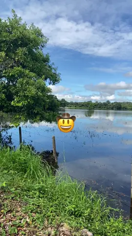 #llanerosporelmundo #fypシ゚ #fyp #viral_video 🤠