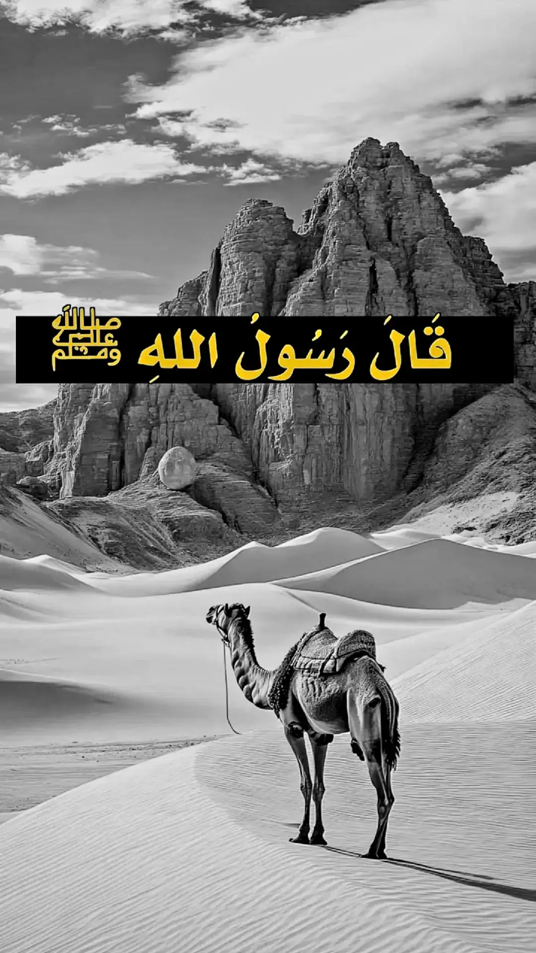 #الشيخ_محمد_بن_علي_الشنقيطي #مقاطع_دينية #مكة #منورات #عثمان_الخميس #الشيخ_محمد_بن_علي_الشنقيطي #المغرب #fypシ゚ #سورة_التين #الشعب_الصيني_ماله_حل #غزة_فلسطين 