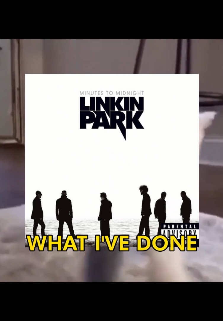 🗣️🗣️ WHAT I’VE DONE 🔥🔥 #linkinpark #whativedone #cat #catcore #cattok #catsoftiktok #songoftheday #fyp 