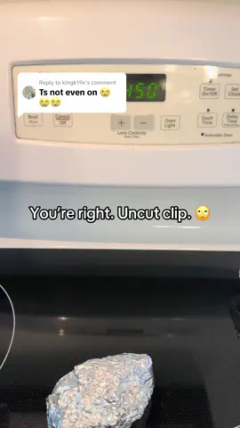 Replying to @kingk19x #uncut #clip #hot #oven #stove #burn #heatresistant #kitchen #KitchenHacks 