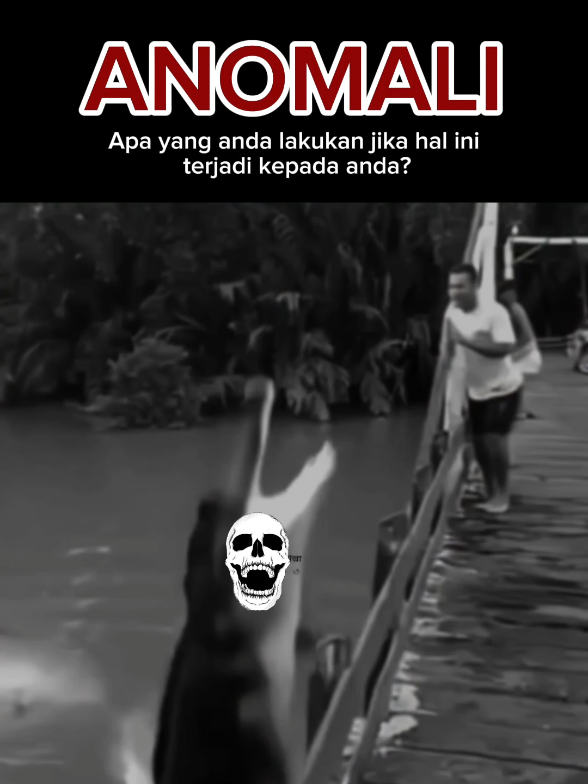 jika anda di posisi ini, apa yang akan terjadi slanjutnya? #videoviral #videohorror  #buaya #predator 