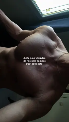 Faites des pompes vous ne le regretterez pas 🗿#calisthenics #gym #fyp #training #pushups 