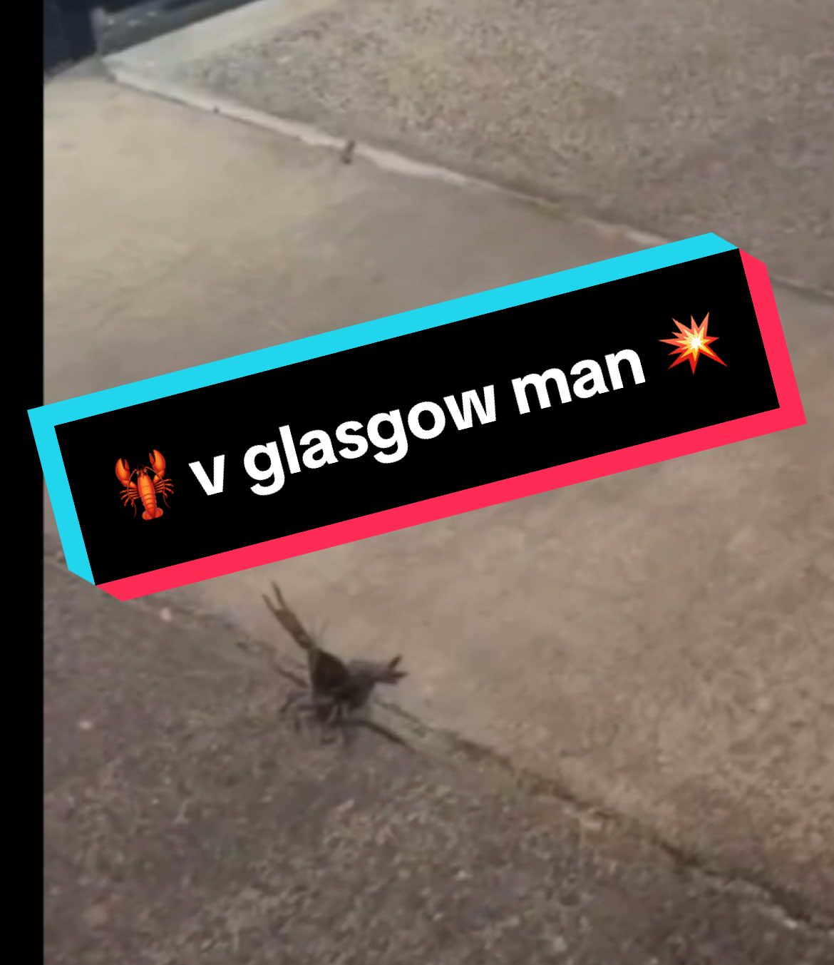 Out late. Nae drama. Then this lobster squares up casual, like he’s Begbie wae claws. And what does the “hardman” dae? Shites it. Slides back in his shell like nothin happened. Mate thought he was about to make history — ended up gettin roasted outside a shop. 🦞💥 Seafood called me out in front of a burd. Couldn’t let that slide. Glesga patter,Street beef. Madness daily. Follow or fight me. #scottishtiktok #glasgowtiktok #lobster #beef #scottish #glasgow 